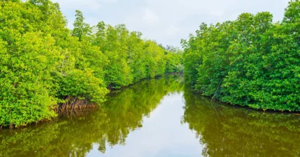 Short Getaway to Sri Lanka 4 Days & 3 Nights