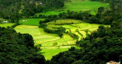 Splendid Coorg & Wayanad 6 Days & 5 Nights