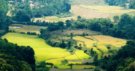 Romantic Retreat - Coorg, Kabini & Wayanad 7 Days & 6 Nights