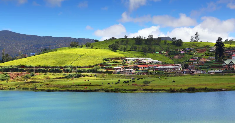 Enchanting Gregory Lake