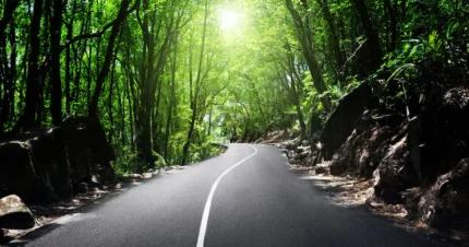 Mahe Romance Special 4 Days & 3 Nights