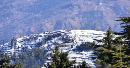 Short Trip to Kufri- From Delhi 3 Days & 2 Nights