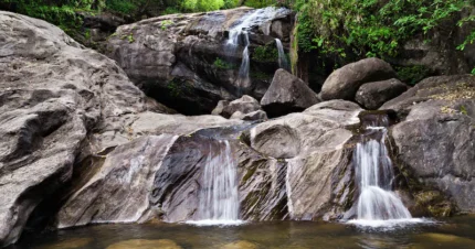 Magical Kerala Holiday- Monsoon Special 6 Days & 5 Nights