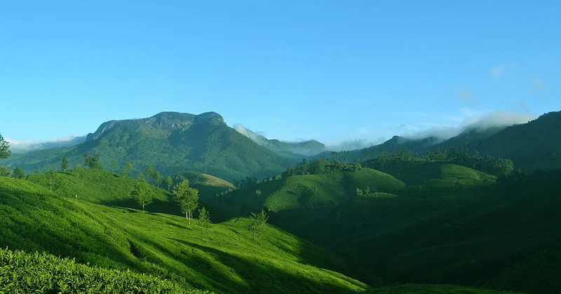 Munnar 9