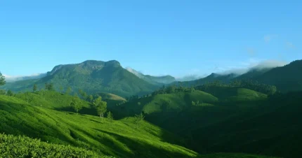 Romantic Kerala & Vagamon 6 Days & 5 Nights