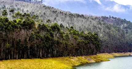 Munnar Villa Special - Short Trip 3 Days & 2 Nights