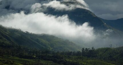 Tranquil Trails of Kerala - Homestay And Villa Special 5 Days & 4 Nights