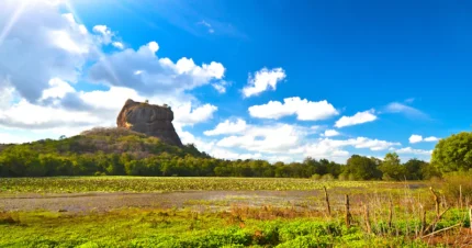 Serene Sri Lanka Holiday 6 Days & 5 Nights