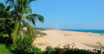 Dreamy Kerala & Varkala Honeymoon 8 Days & 7 Nights