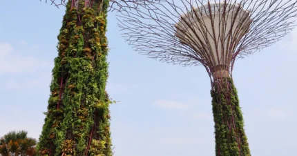 Epic Singapore Vacation 6 Days & 5 Nights