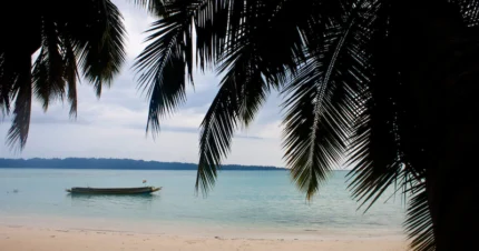 Celestial Honeymoon in Andaman 7 Days & 6 Nights