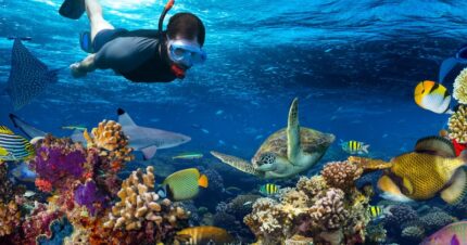 Premium Getaway to Andaman 4 Days & 3 Nights