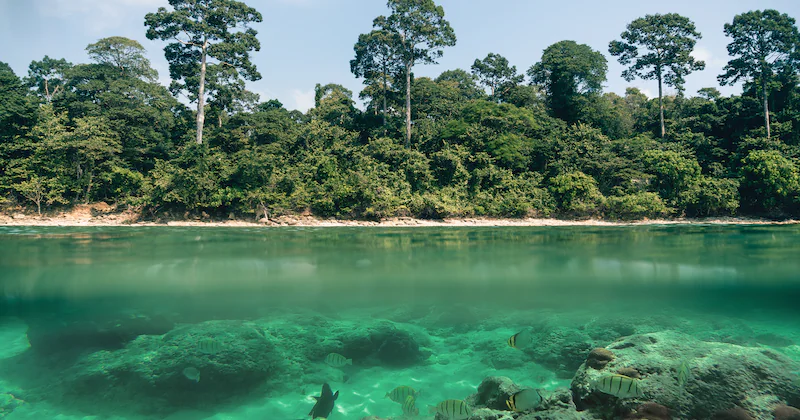 double-landscape-blue-sea-sky-seascape-1137481001