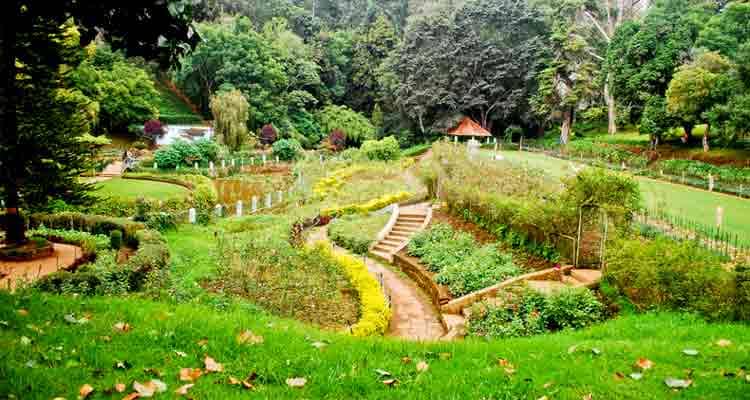 sim-s-park-ooty-tour-header